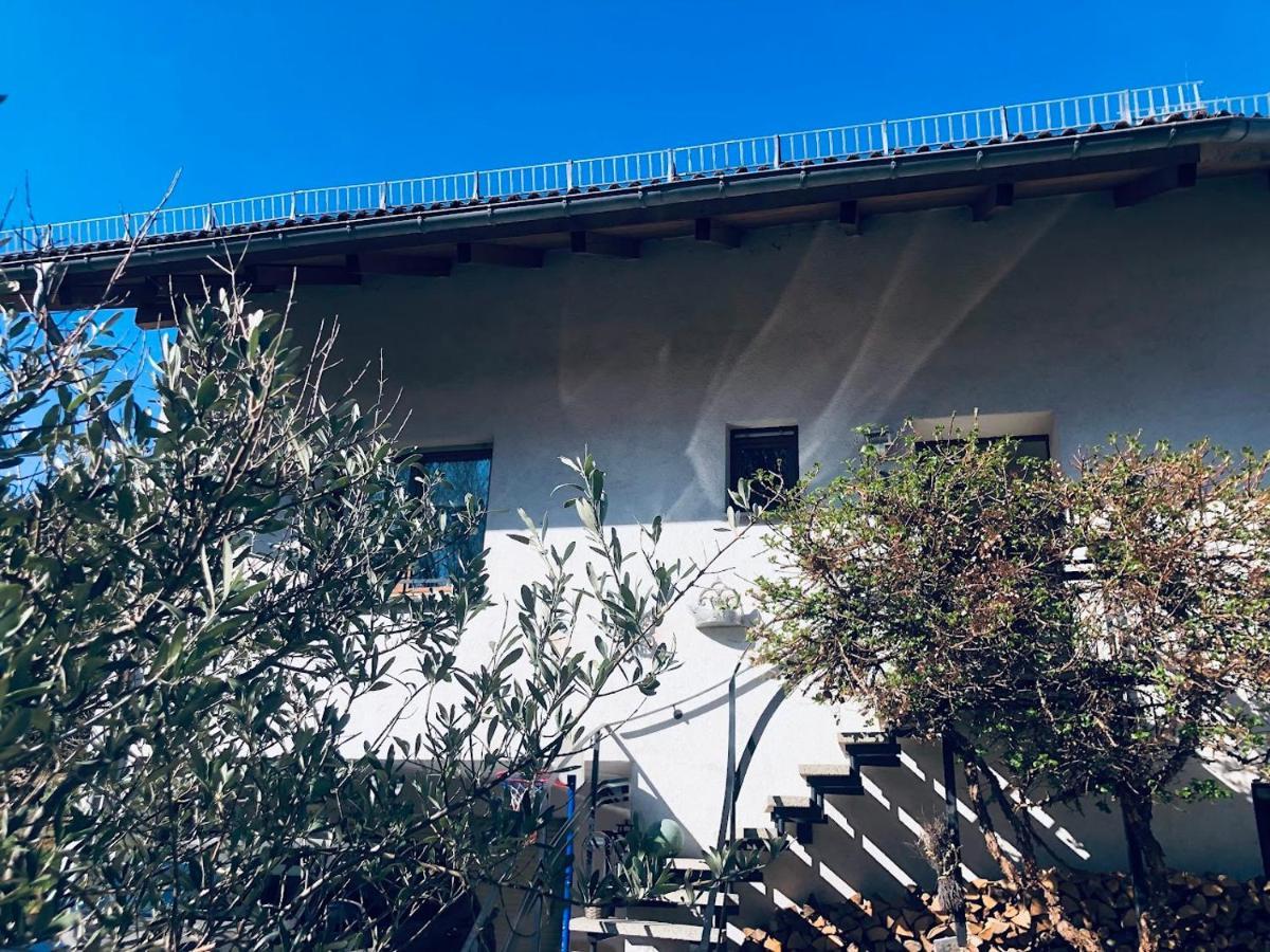 Ferienwohnung Shakira Penig エクステリア 写真